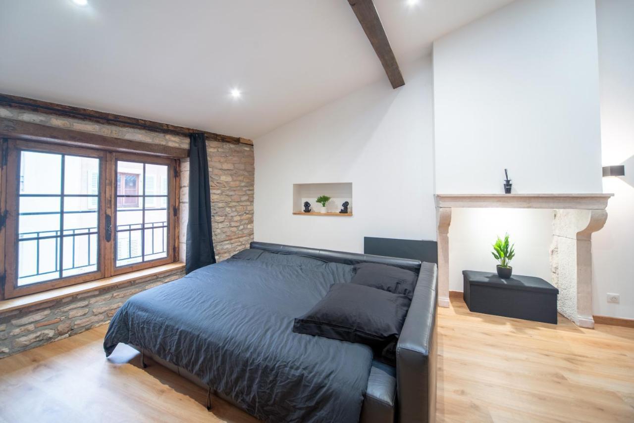 Loft Au Coeur Du Centre Ville Mâcon Екстериор снимка